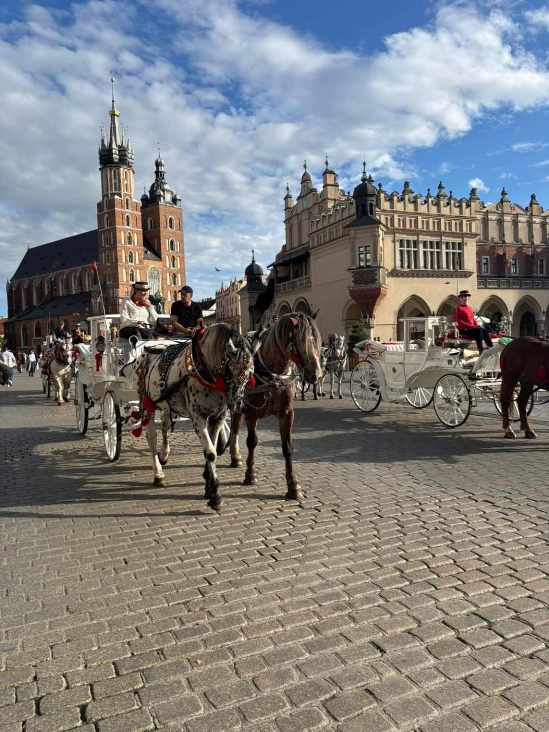 Apartament Piccolo Krasków Eksteriør bilde